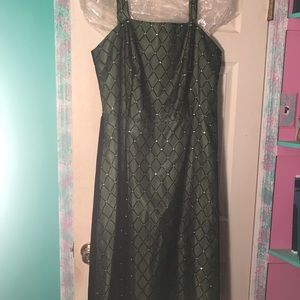 Dressbarn Collection Special Occasion Dress Plus